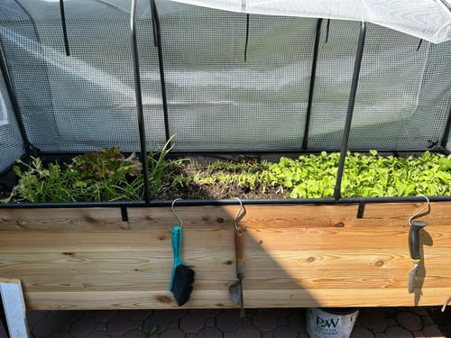 Customer photo review of 18" x 72" Raised Garden Bed - 30" TALL