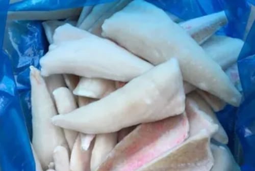 Customer photo review of 5KG Red Gurnard Fillets Frozen