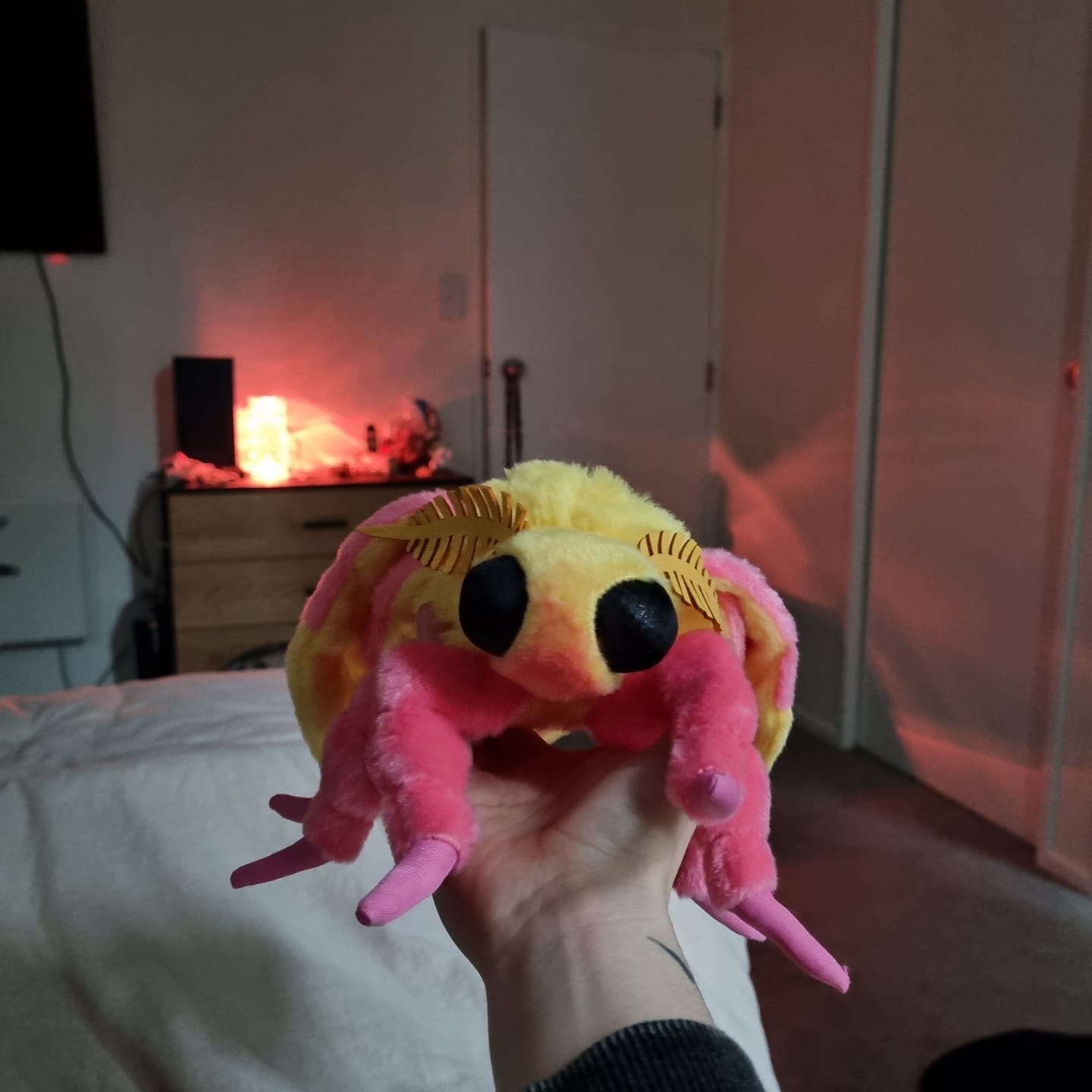 Customer photo review of Rosy Maple Moth Soft Stuffed Plush Toy