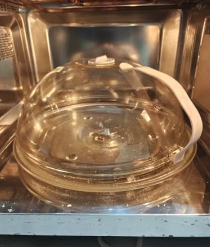 Customer photo review of Clear Guard Microwave Cover