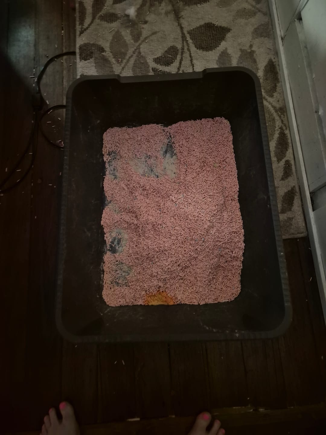 Customer photo review of Michu Tofu Cat Litter Gen3 6L- Dust-Free and Natural Clumping Tofu-Based Formula for Easy Cleanup