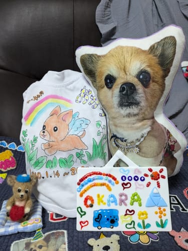 Customer photo review of 本物そっくり♪ペットクッション