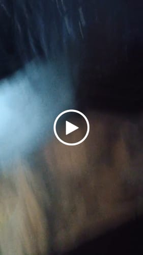 Customer video review of Non Detect Mushrooms