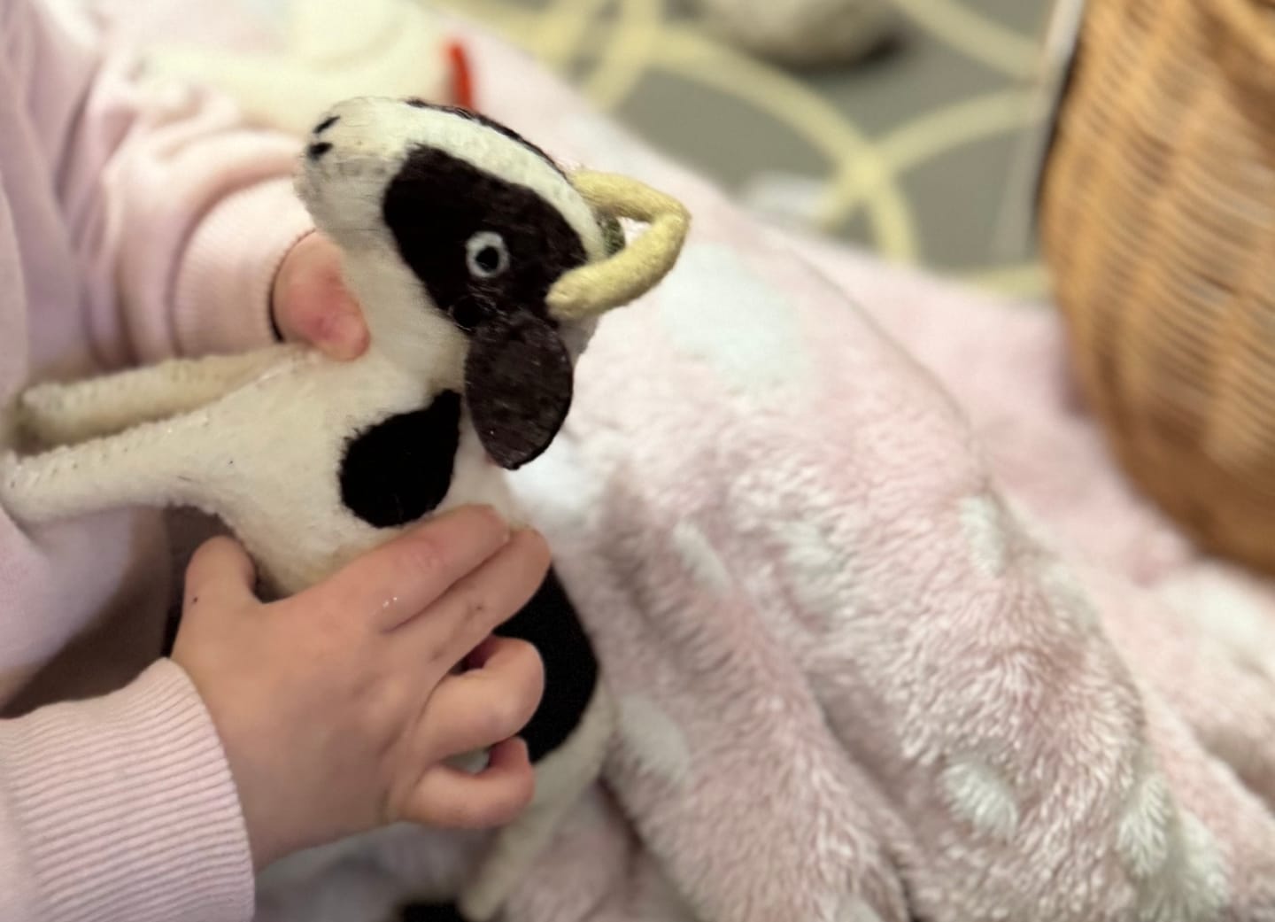 Customer photo review of Felt Farm Animals Toys Set - Set of 10 Toys