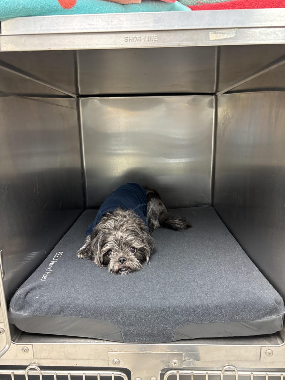 Customer photo review of Quick-Dry Fleece Cover