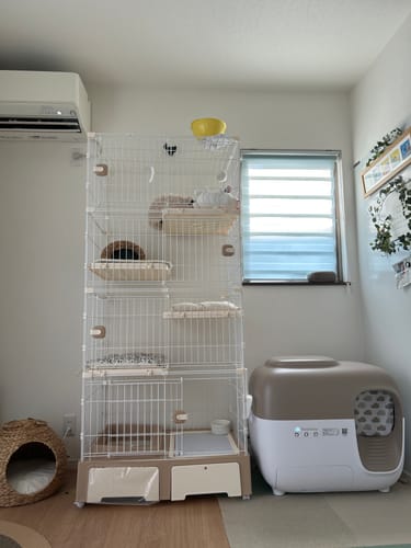 Customer photo review of 全自動猫トイレ