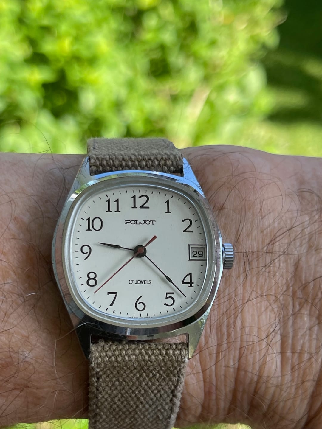 Customer photo review of Rocco Canvas