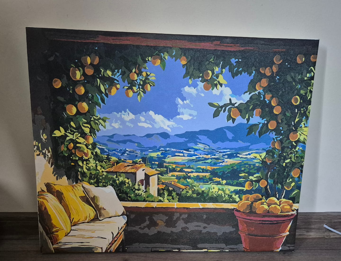 Customer photo review of Lemon Patio View