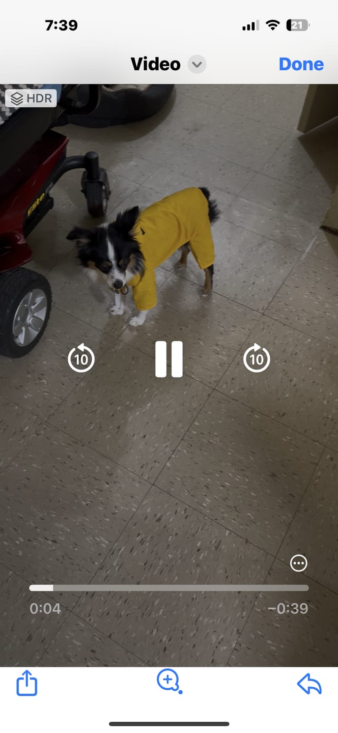 Customer photo review of Nylon Coverall