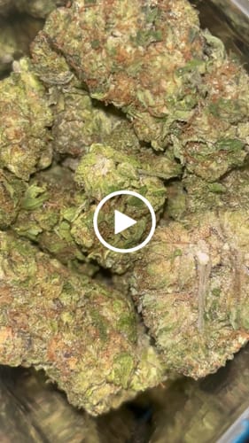 Customer video review of Apple Strudel