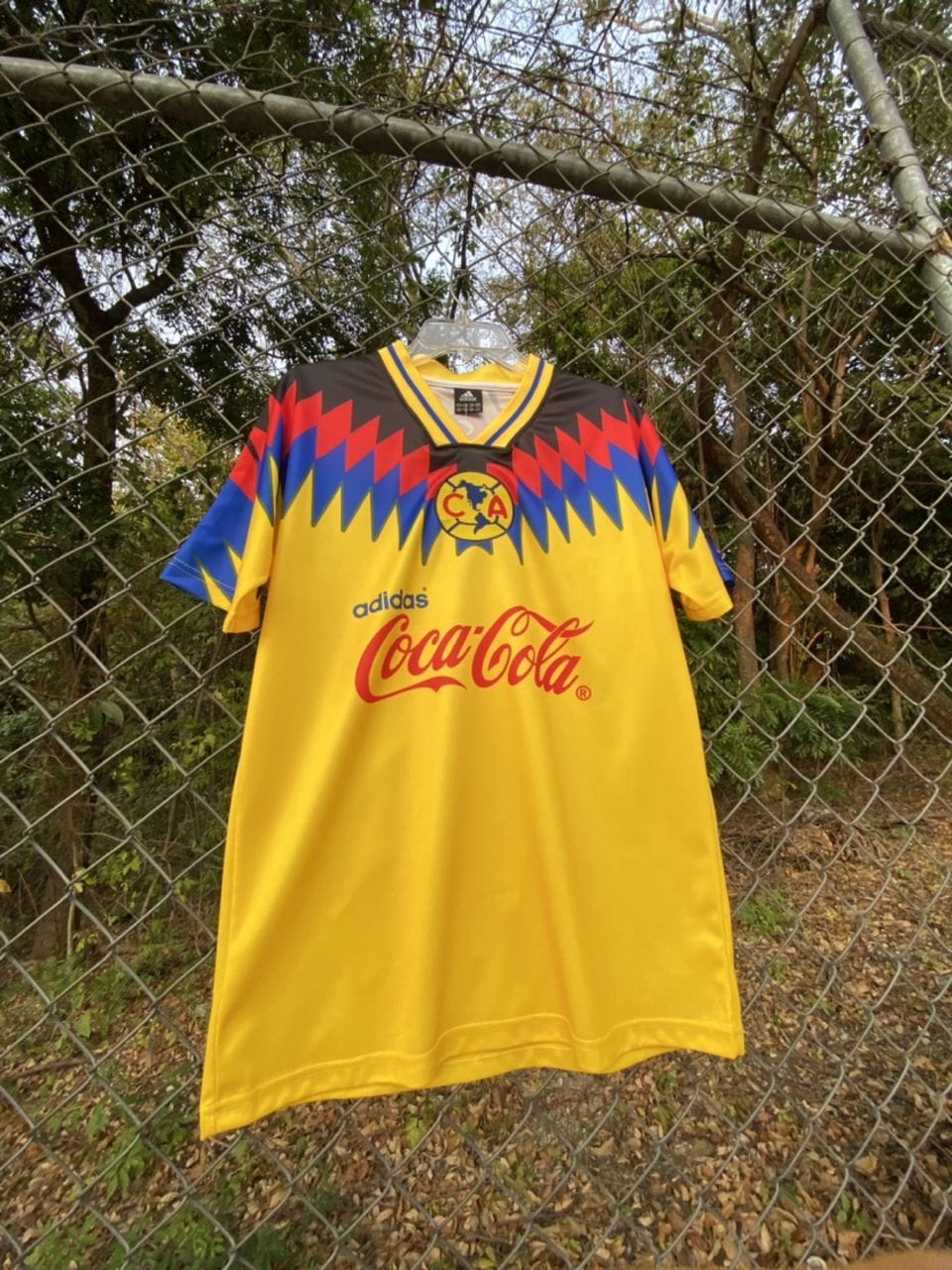 Customer photo review of Jersey América 1994-1995 Local
