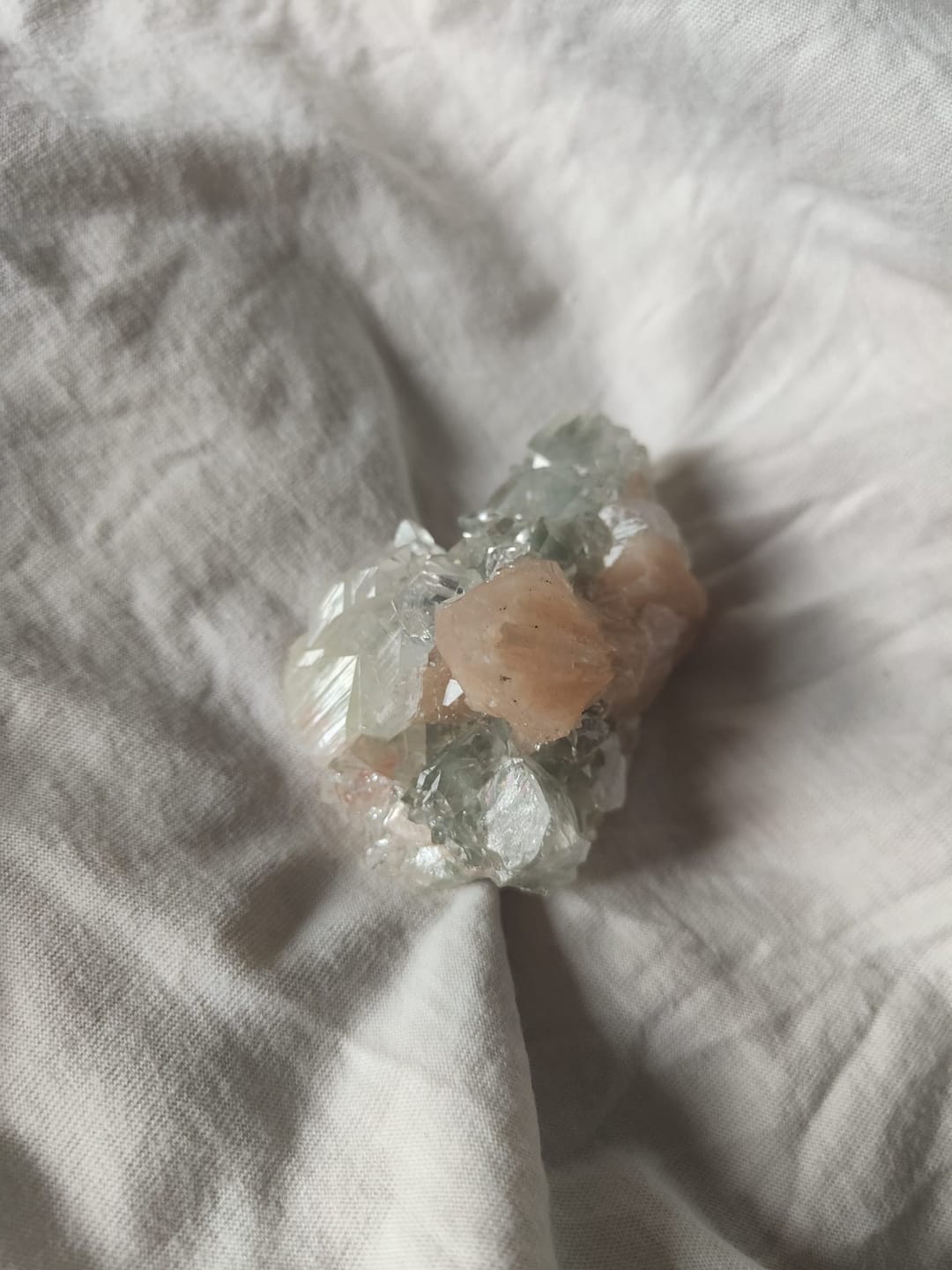 Customer photo review of Apofilita | Espiritualidad e intuición