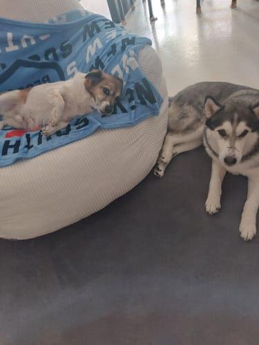 Customer photo review of Luxury Foam Relax Chair