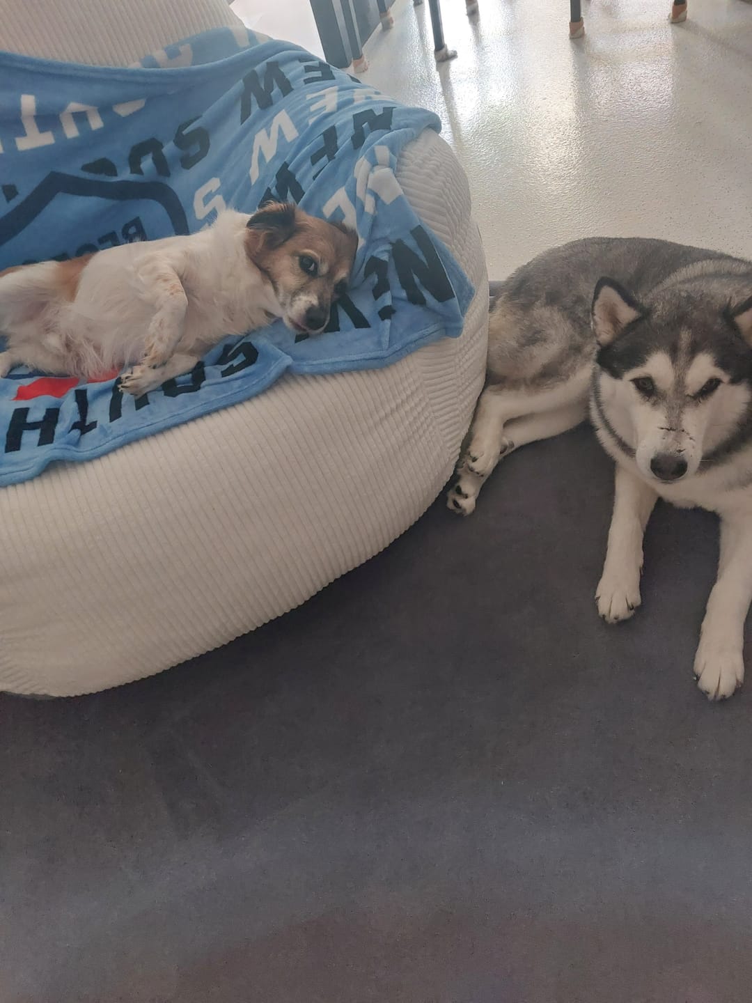 Customer photo review of Luxury Foam Relax Chair