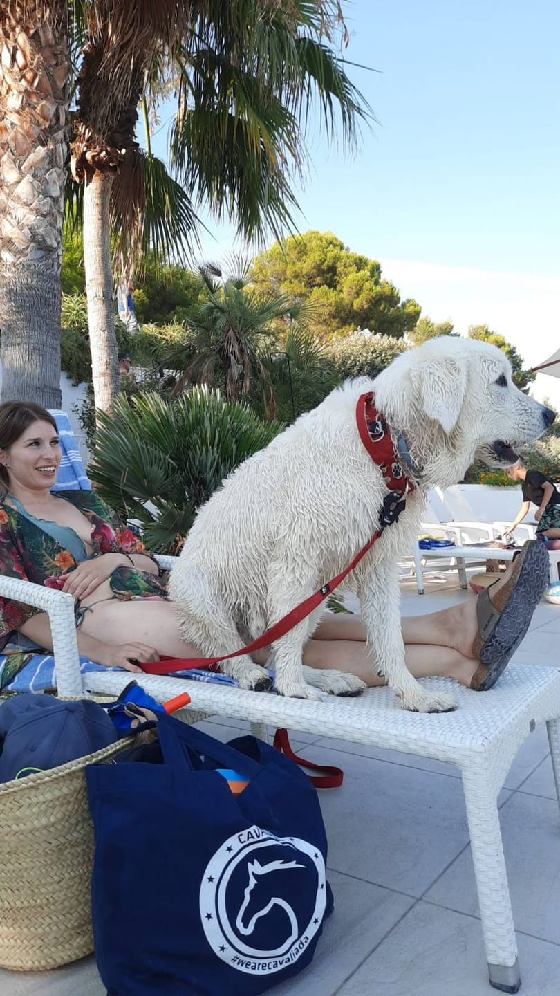 Customer photo review of Smycz nylonowa Walk Leash – Silver Edition Czerwona