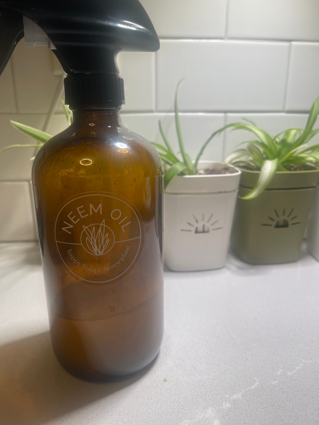 Customer photo review of Neem Oil Pre-Emulsified Signature Starter Kit