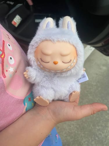 Customer photo review of Labubu Seated Plush