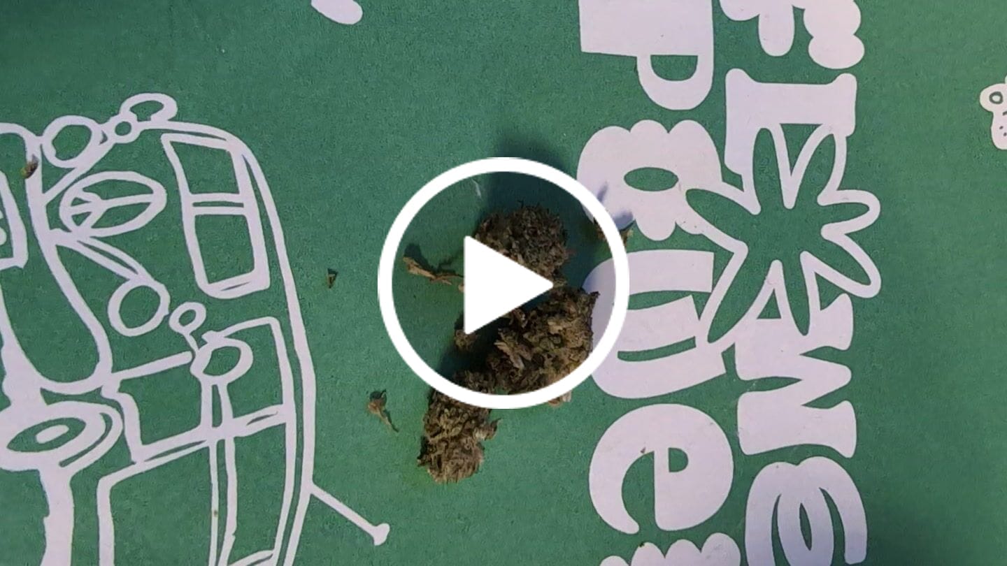 Customer video review of 🎂 Wedding Cake - Power LVL 5/5