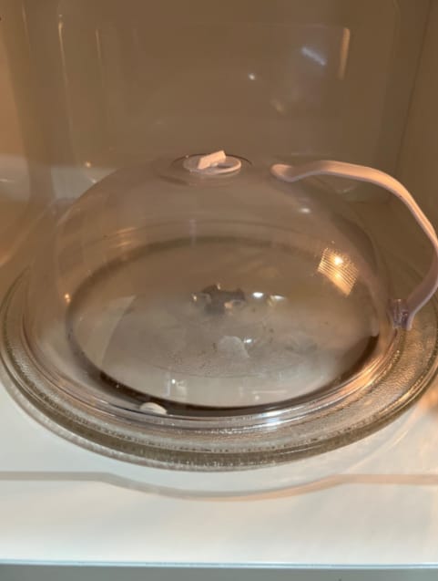 Customer photo review of Clear Guard Microwave Cover