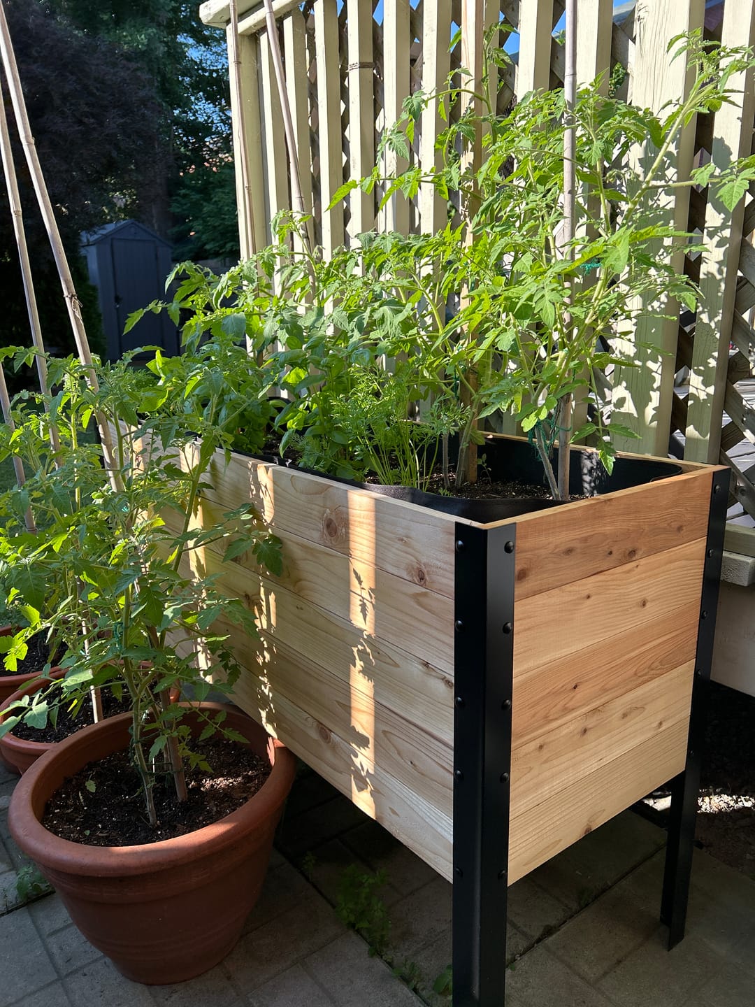 Customer photo review of Winter Covers for 30" Tall Raised Garden Beds