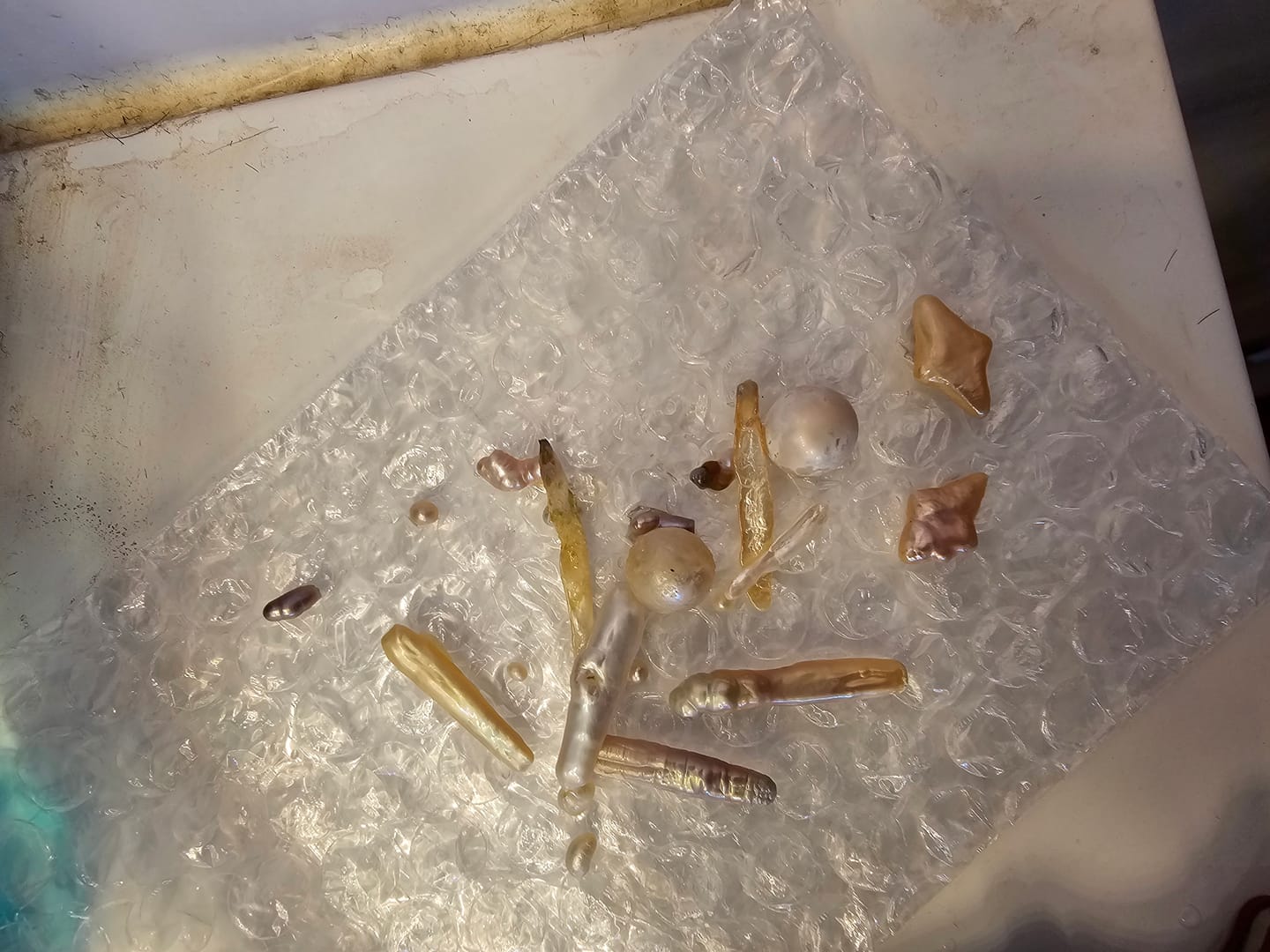 Customer photo review of Freshwater Oyster - North Star Shaped Pearl