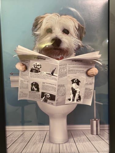 Customer photo review of Important meeting - Personalized Poster