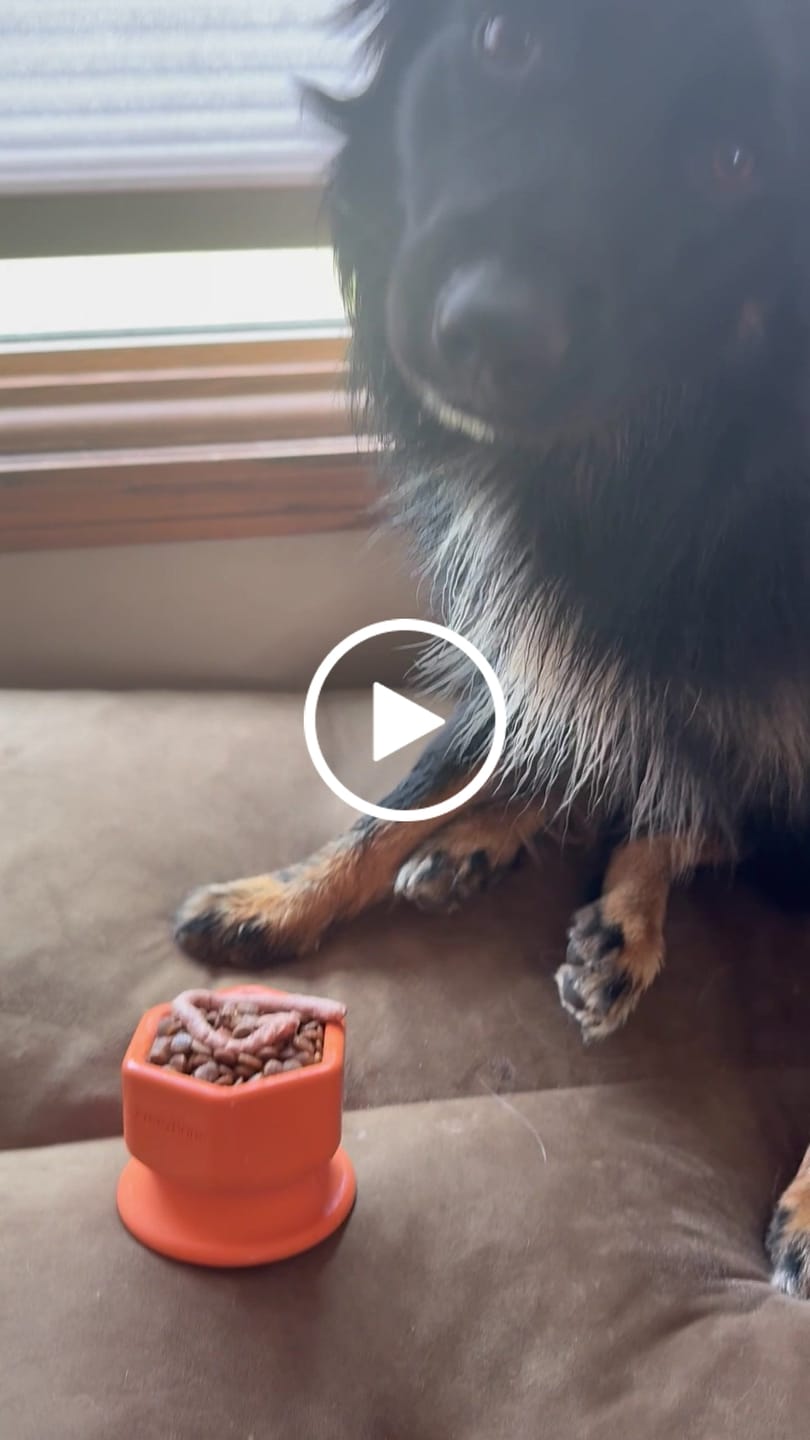Customer video review of FreezCup - Long-Lasting Chew Fun