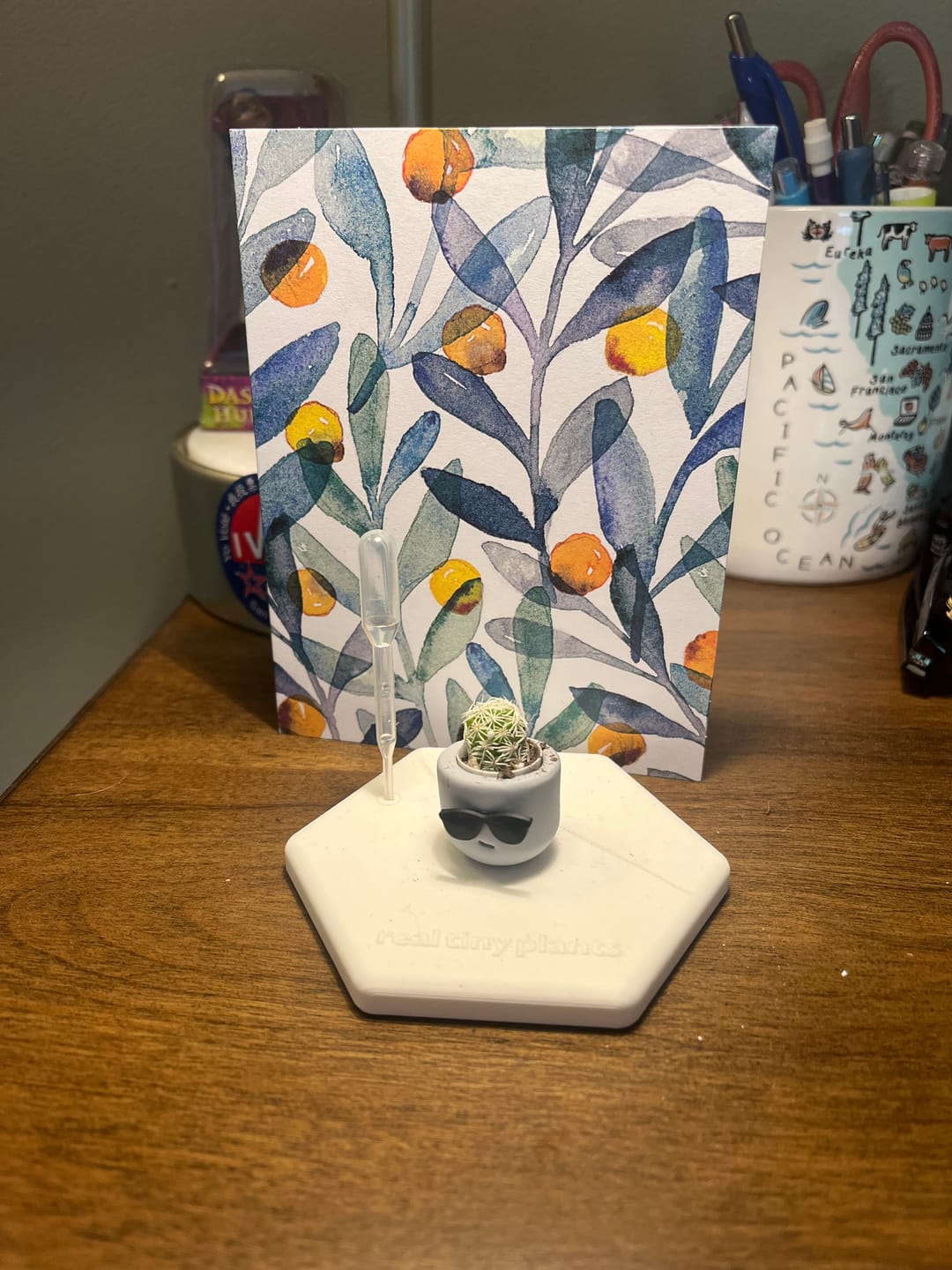 Customer photo review of Smart Dad