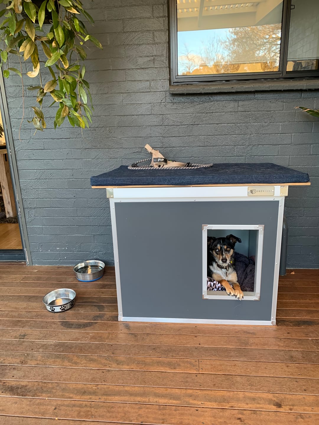 Customer photo review of CozyCube Coldroom Panel Insulated Dog House