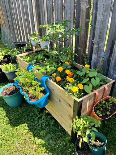 Customer photo review of 18" x 48" Raised Garden Bed - 30" TALL