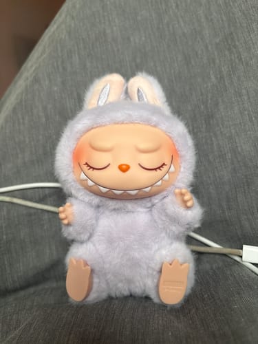 Customer photo review of Pop Mart Labubu The Monsters Have a Seat Vinyl Plush Blind Box