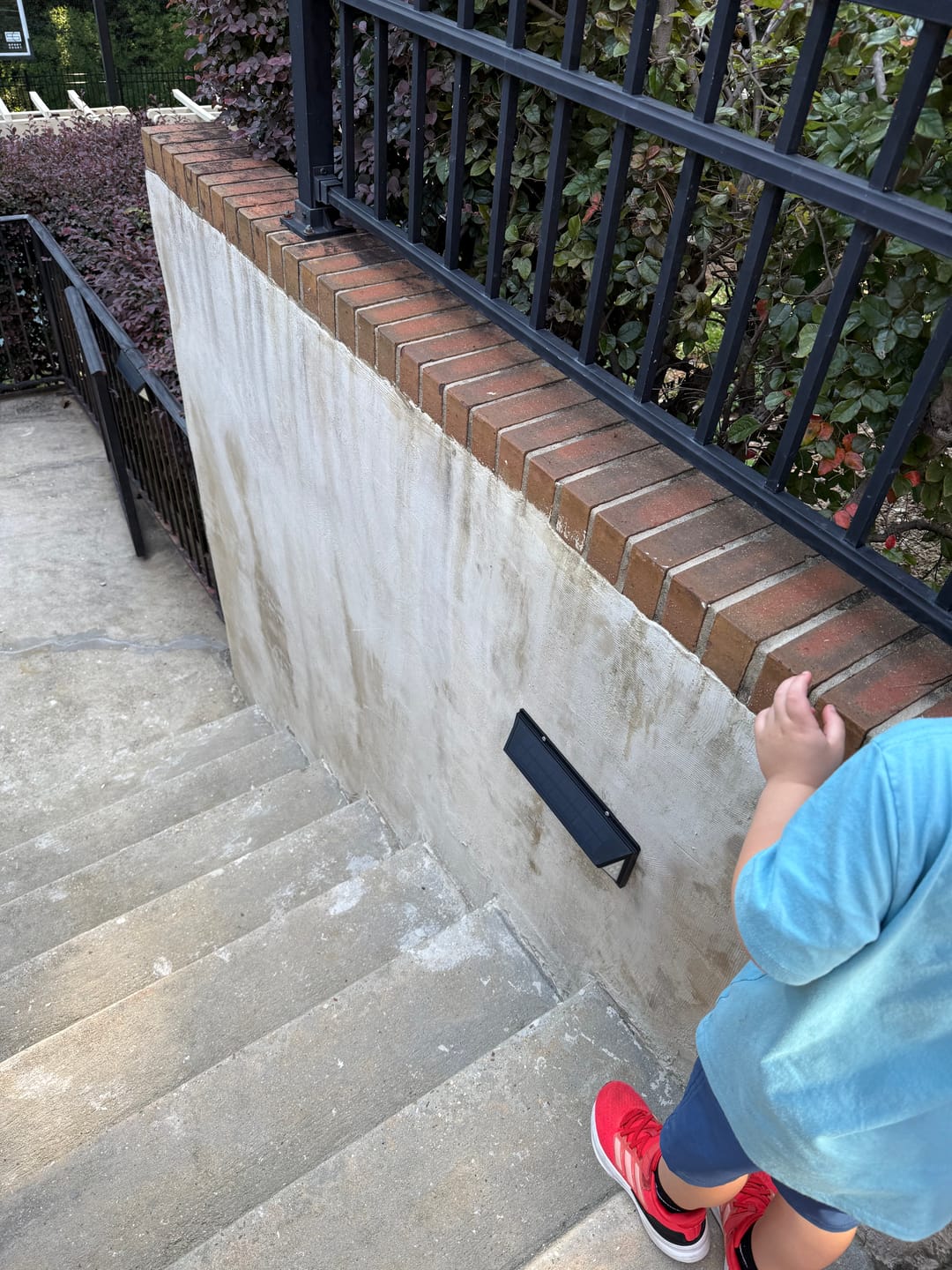Customer photo review of 118 LED Solar Light 1000 Lumens