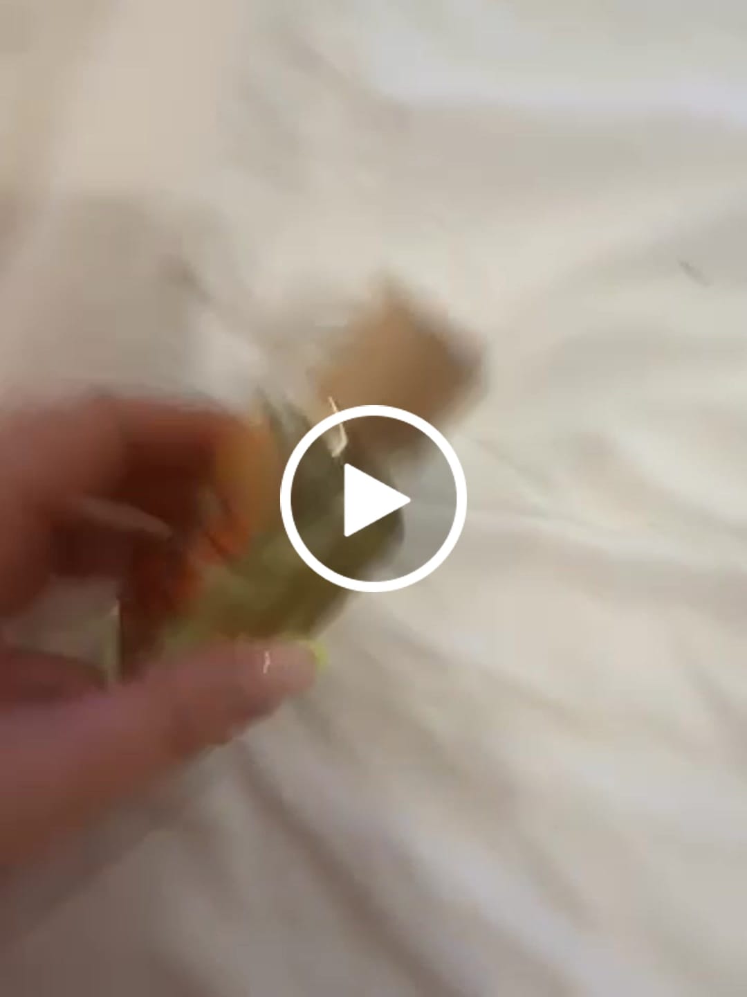 Customer video review of Apricot Mallow