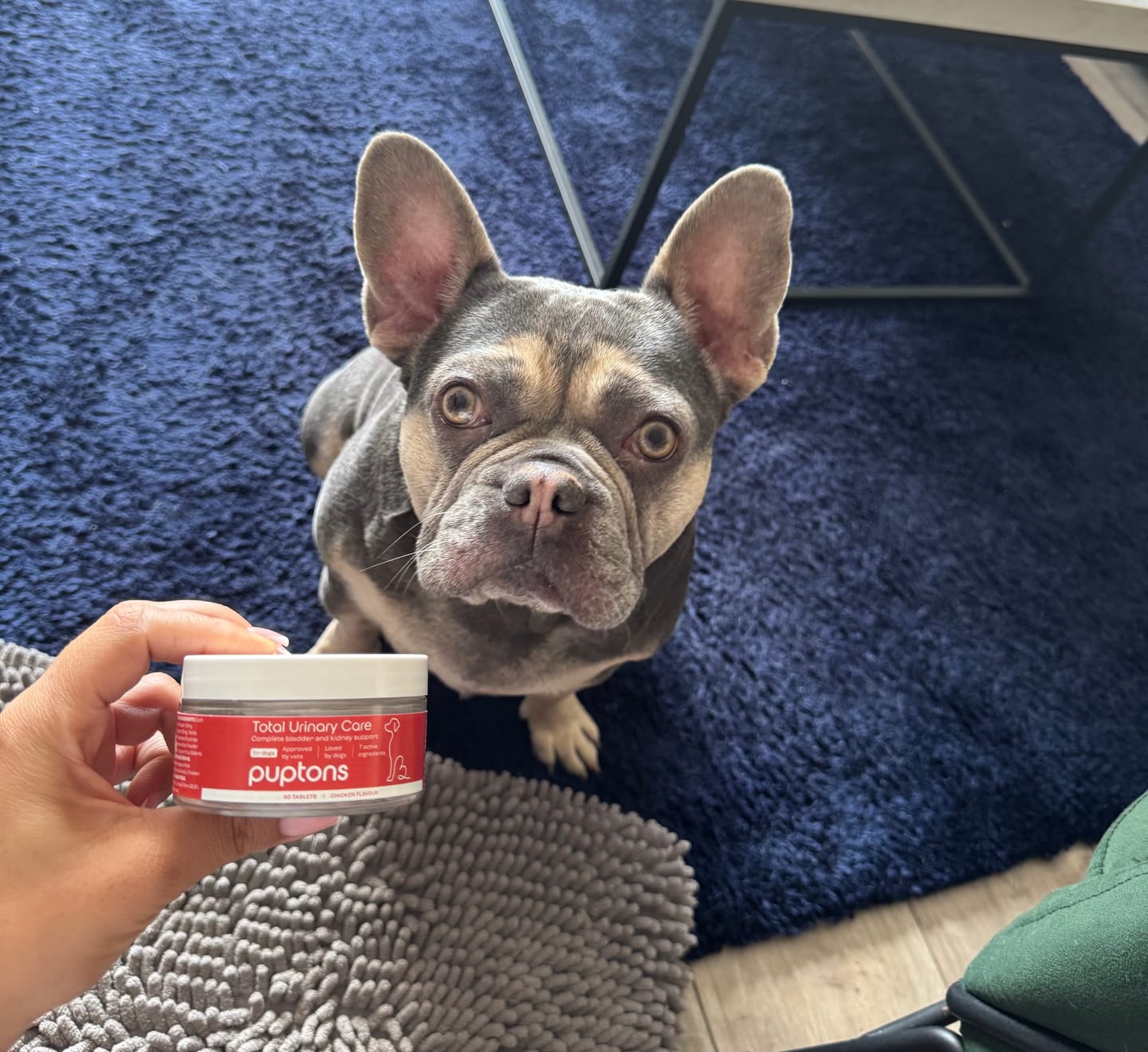 Customer photo review of Total Urinary Care Supplement For Dogs