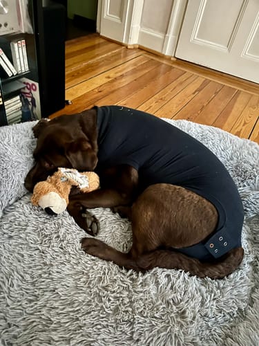 Customer photo review of CalmBed - Motverkar stress & hjälper mot ångest