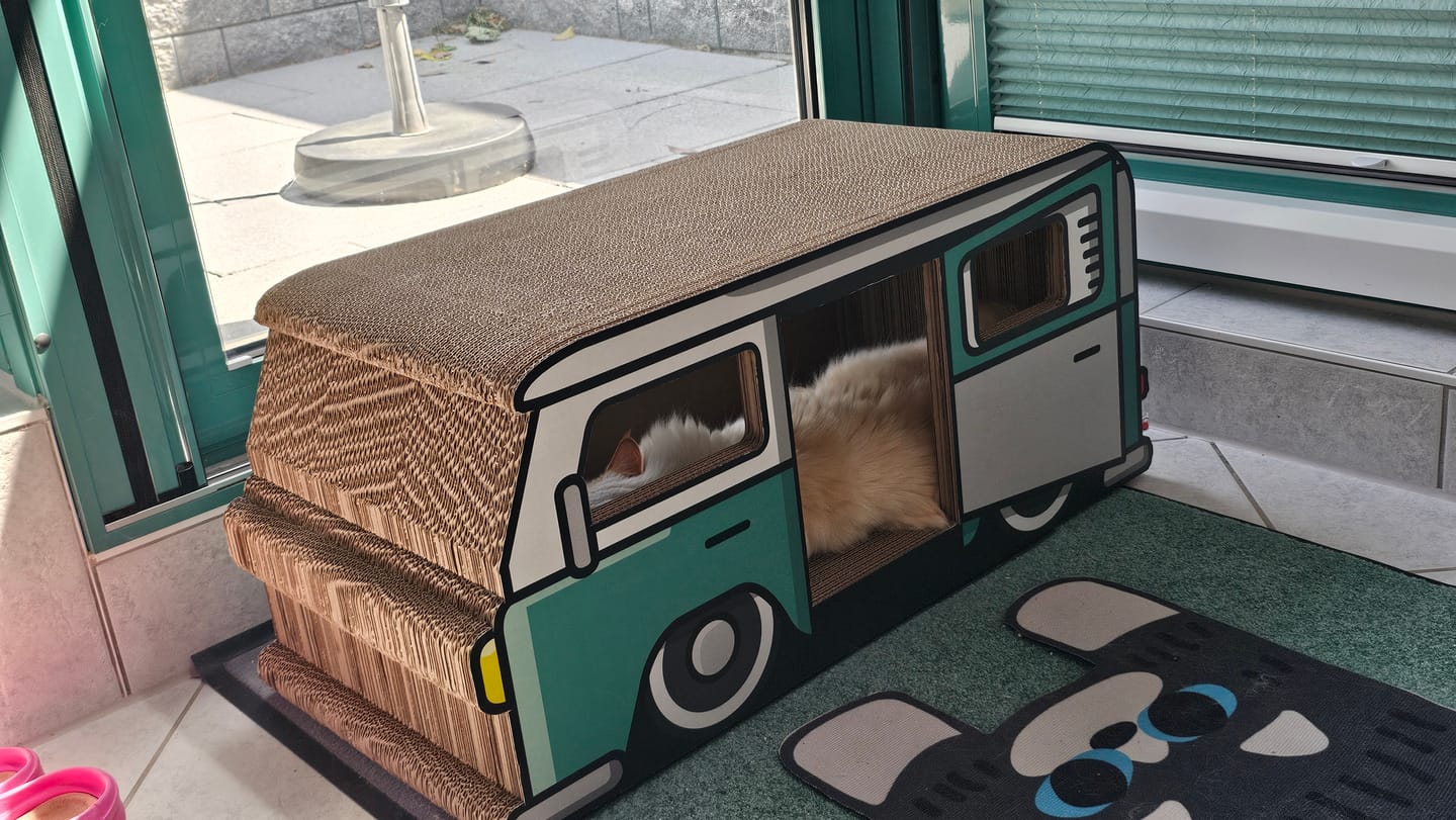 Customer photo review of KratzCamper XXL
