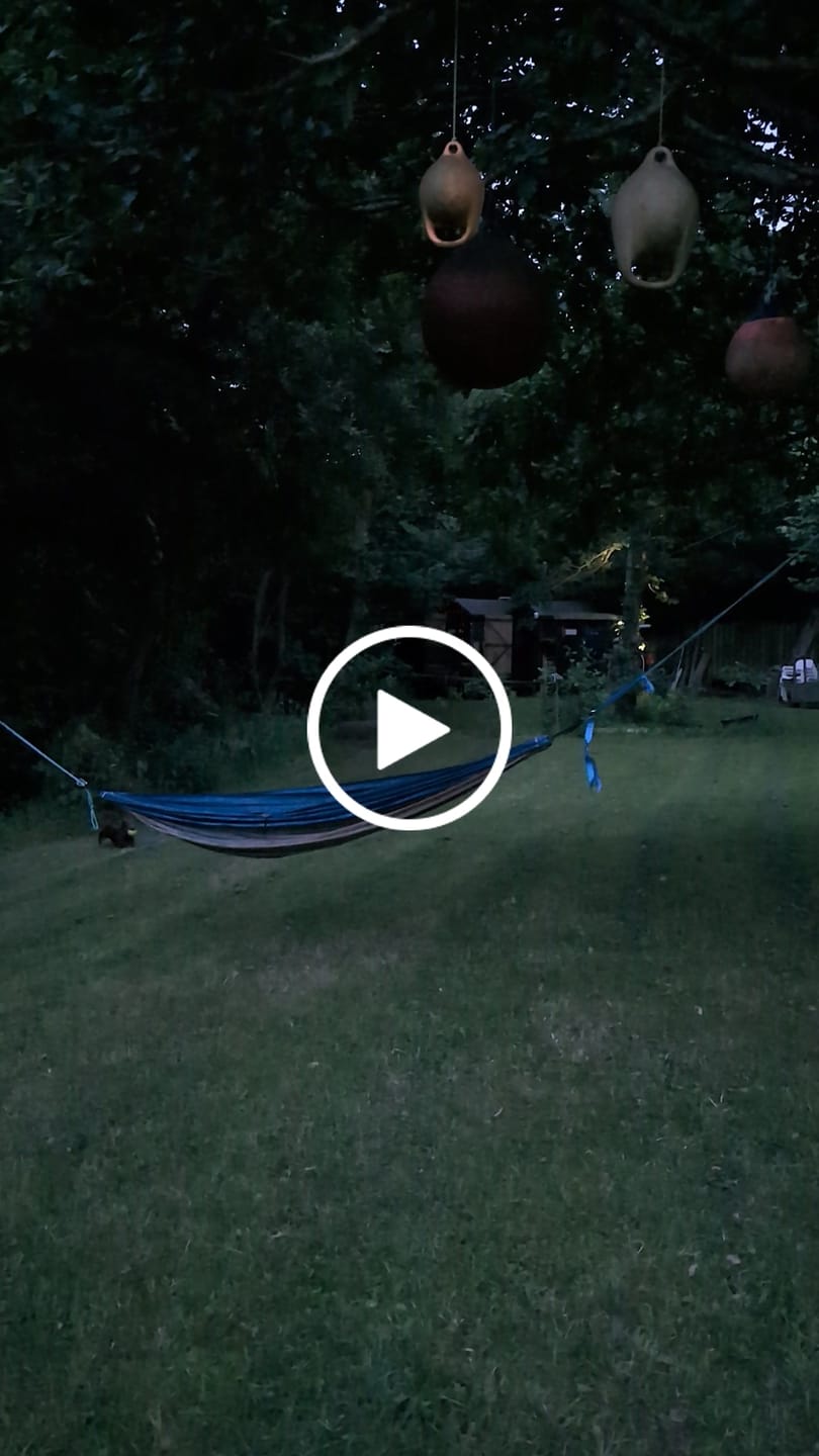 Customer video review of TrekBright® Dog Safety Light