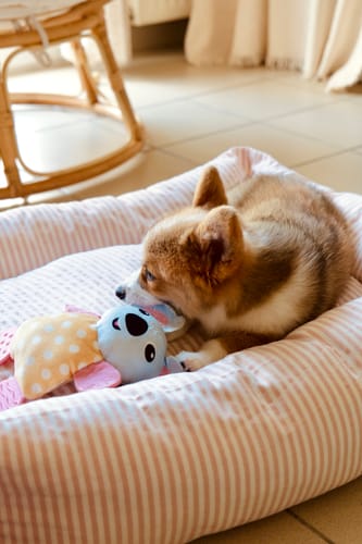 Customer photo review of Divanetto Cotone Righe Strette Rosa