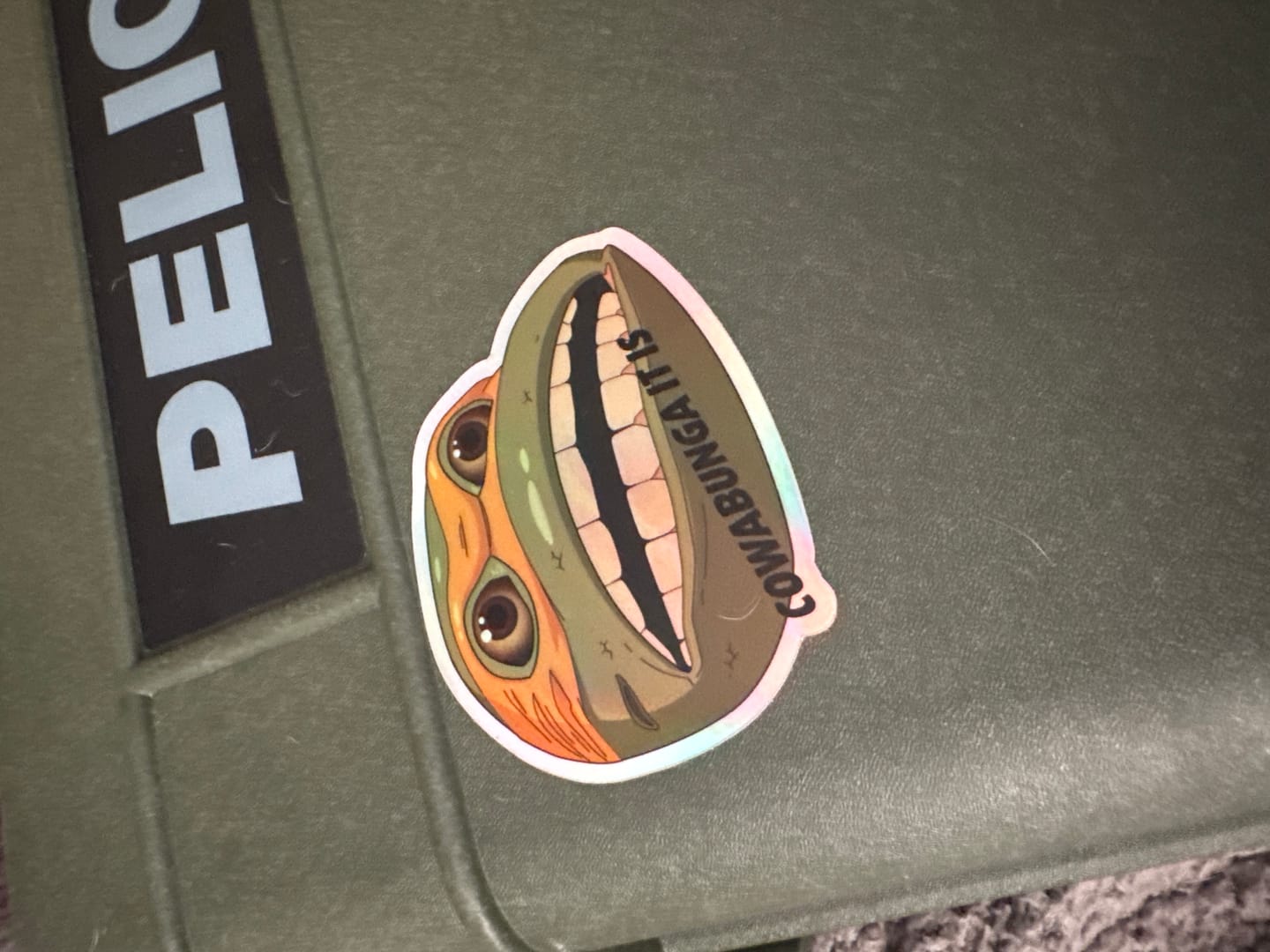 Customer photo review of Cowabunga Holograph Sticker