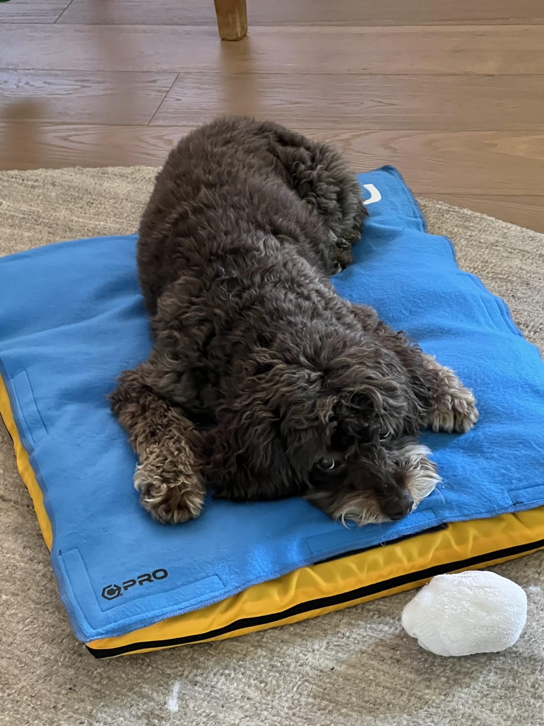 Customer photo review of Orthopedic Recovery Cushions with Detachable Fleece Toppers