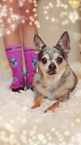 undefined review of Personalisierte Socken mit deinem Haustier image 1 out of 1
