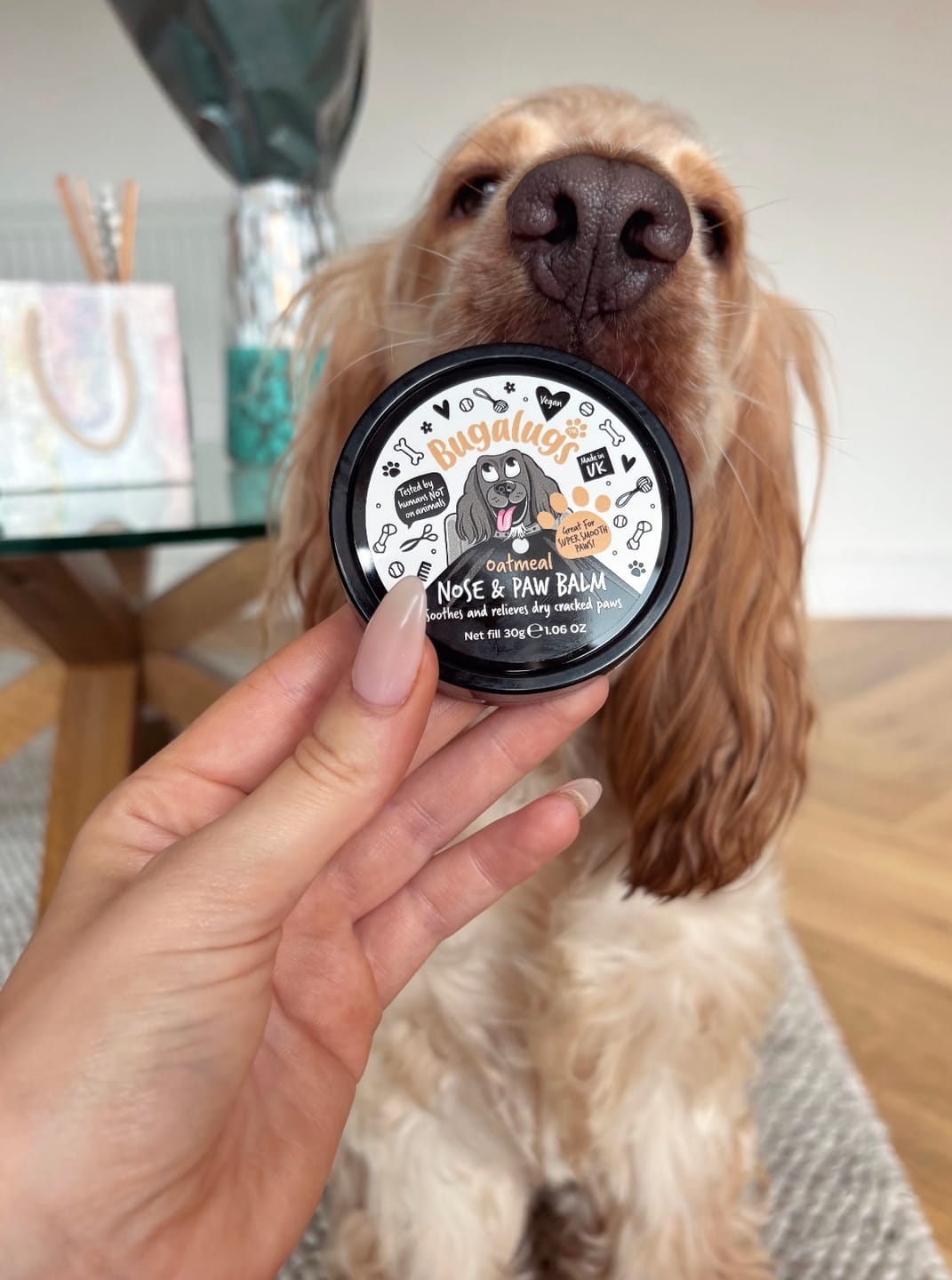 Customer photo review of Oatmeal Nose & Paw Balm Pot for Dogs