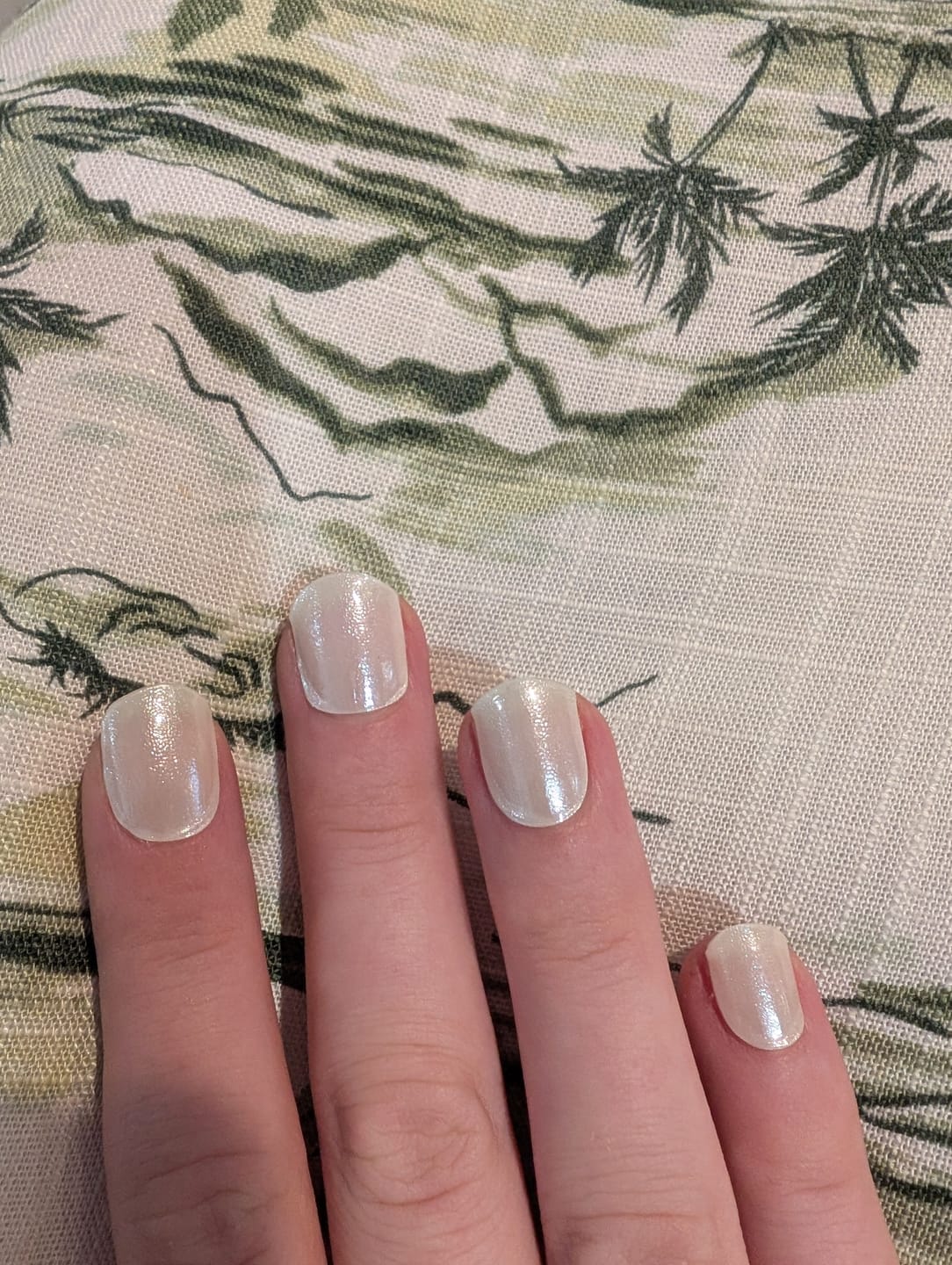 Customer photo review of Mystery Box (EOFY) LIMITED QUANTITIES