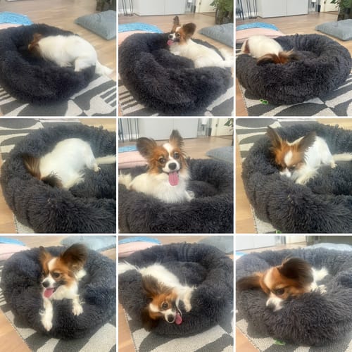 Customer photo review of CalmBed - Motverkar stress & hjälper mot ångest