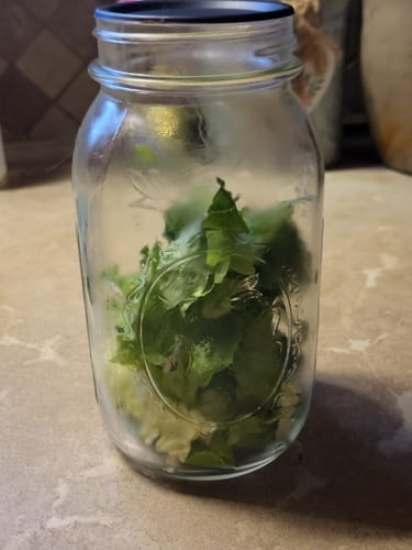 Kim N. review of Mason Genie® Vacuum Sealer Kit image 1 out of 1