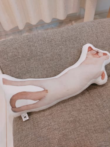 Customer photo review of 本物そっくり♪ペットクッション