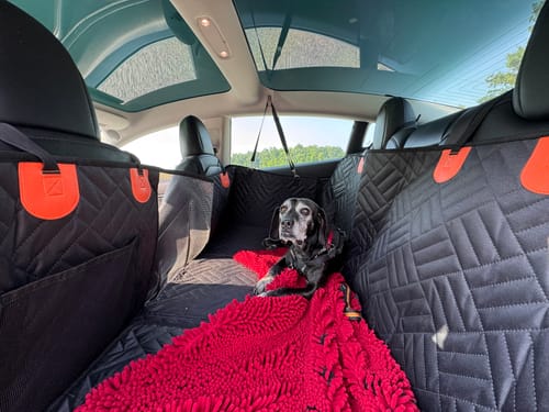 Customer photo review of Hard Bottom Seat Cover