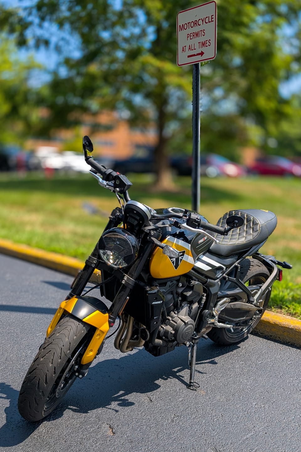 Customer photo review of Triumph Bar End Finishers & Mirror Kits - 7/8” Handlebar Triumph Models