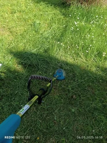 Customer photo review of Elektrischer Rasentrimmer 2-in-1