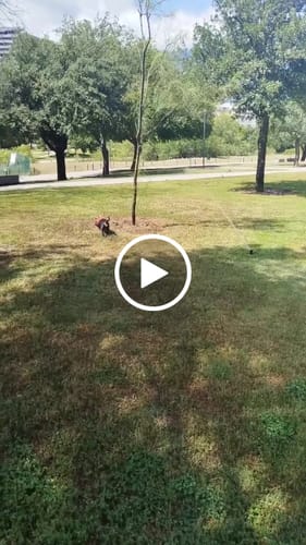 Video de Mario Alberto G.